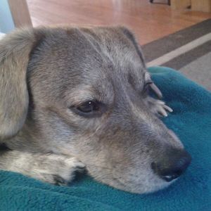 Meet your Posher, Marcey